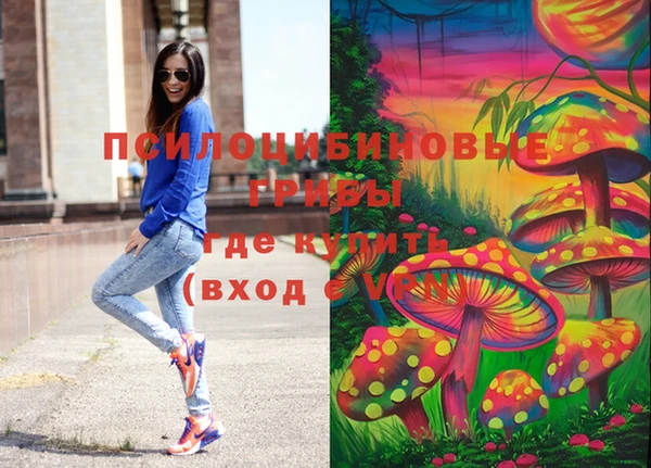 дурь Алексеевка